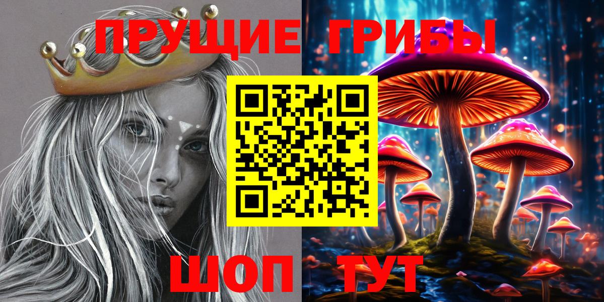 Псилоцибиновые грибы Cubensis  где купить наркоту  Кирово-Чепецк  Псилоцибиновые грибы Magic Shrooms  Вход с VPN 